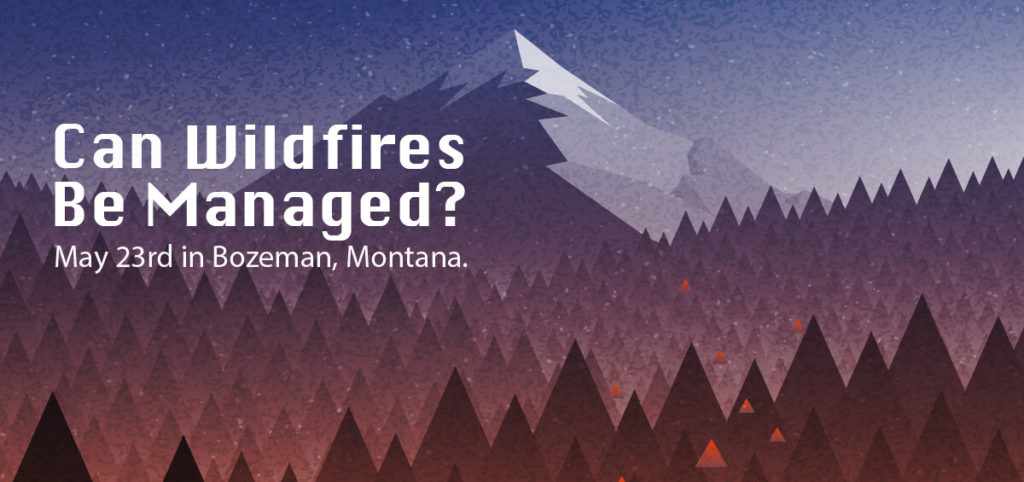 Can Wildfires Be Managed?