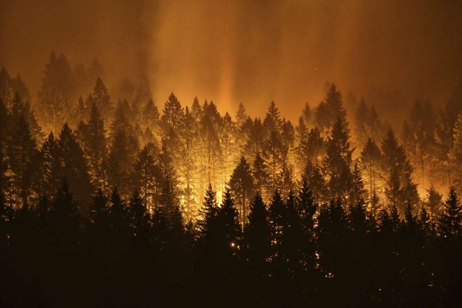 Firestorm: The Wildfire Management Debate