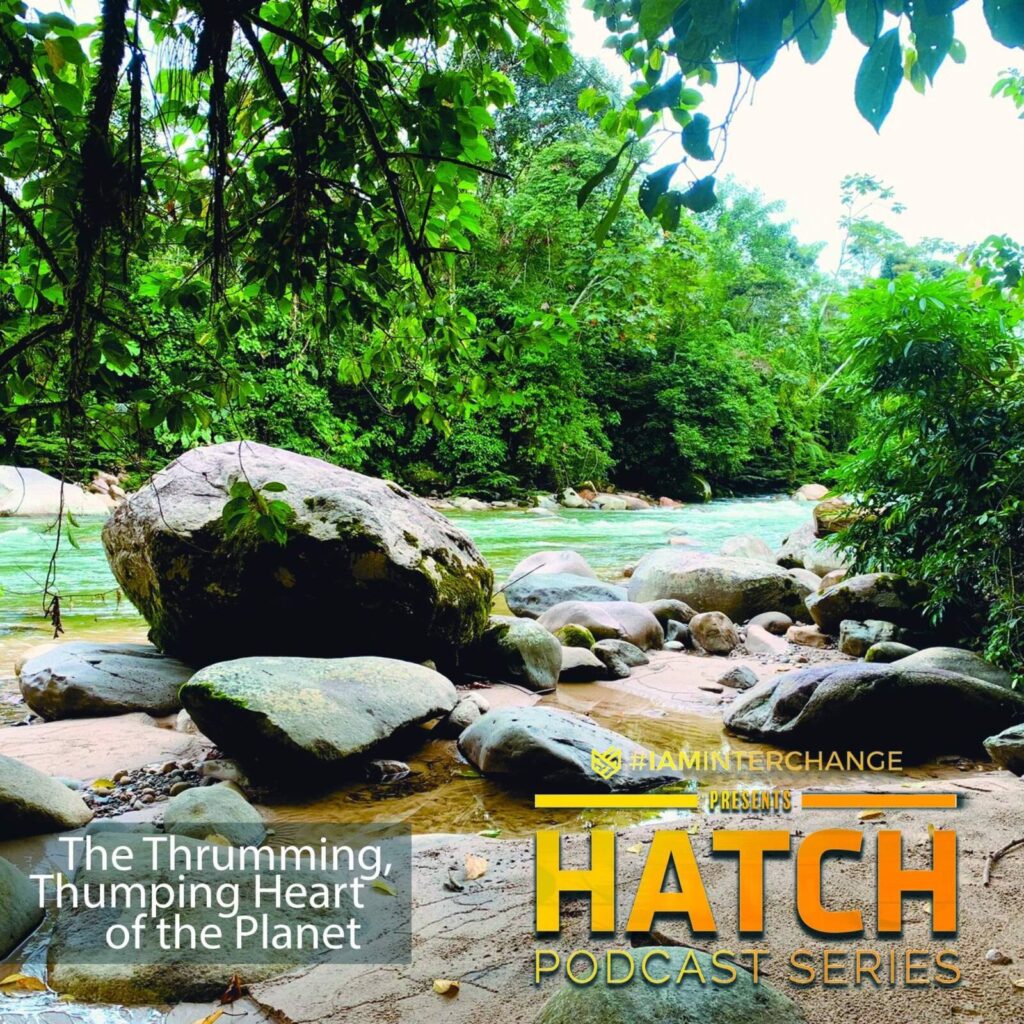 HATCH Podcast Series – Episode 20: The Thrumming, Thumping Heart of the Planet