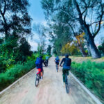 Bikers along a trail