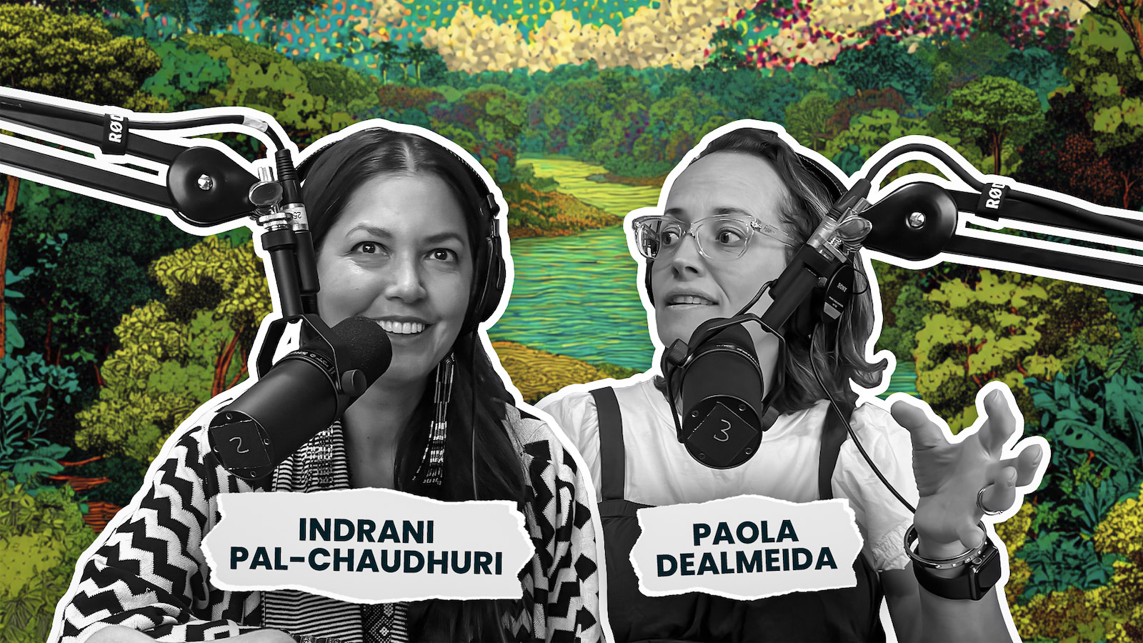 The Amazon is Breathing